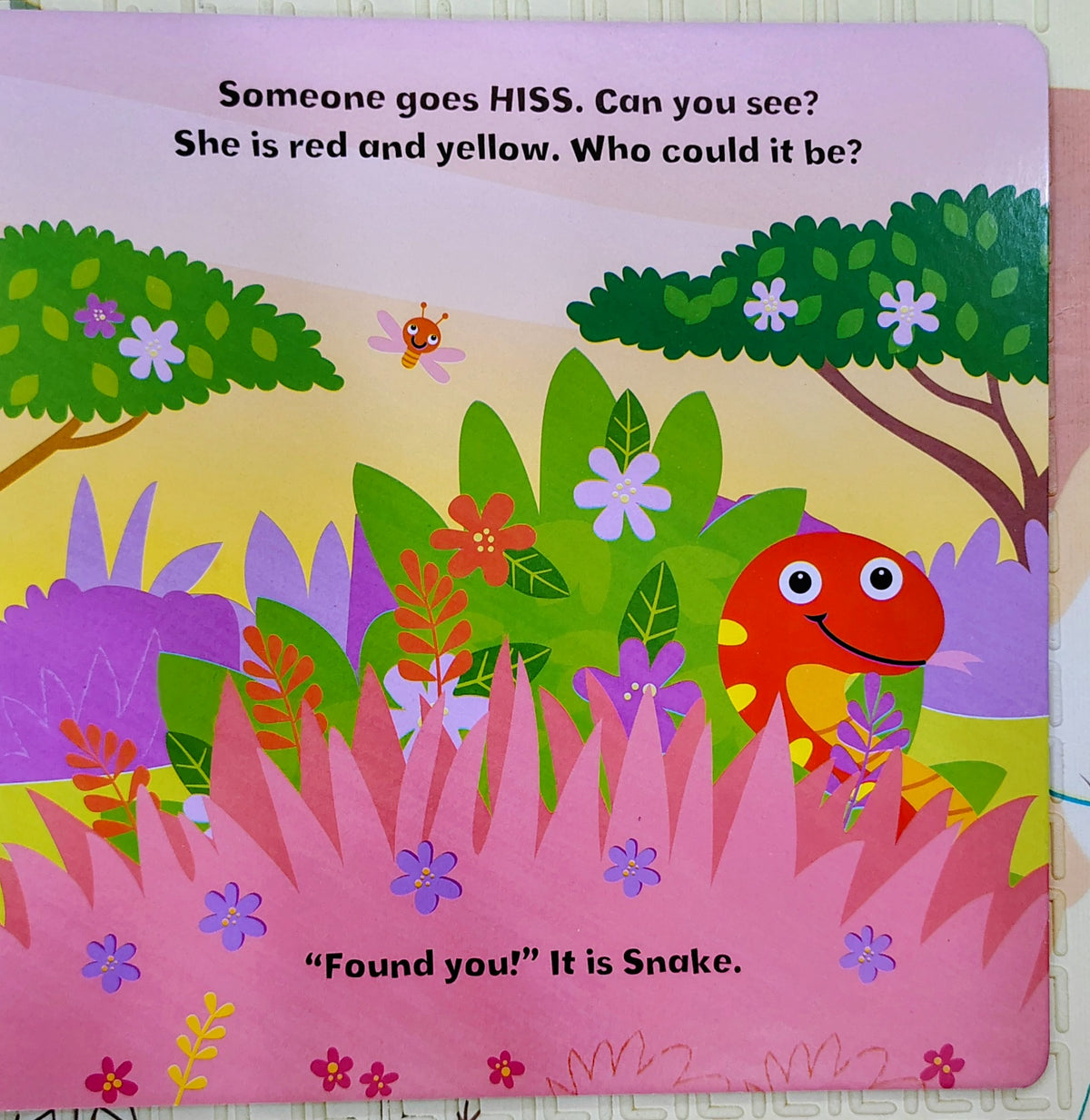Hide-and-Seek Jungle | IglooBooks