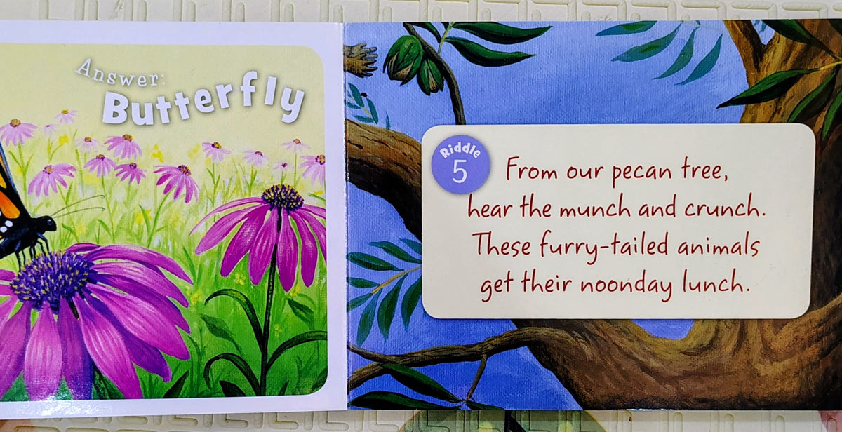 Little Texas | Rhyming Riddles Boardbook