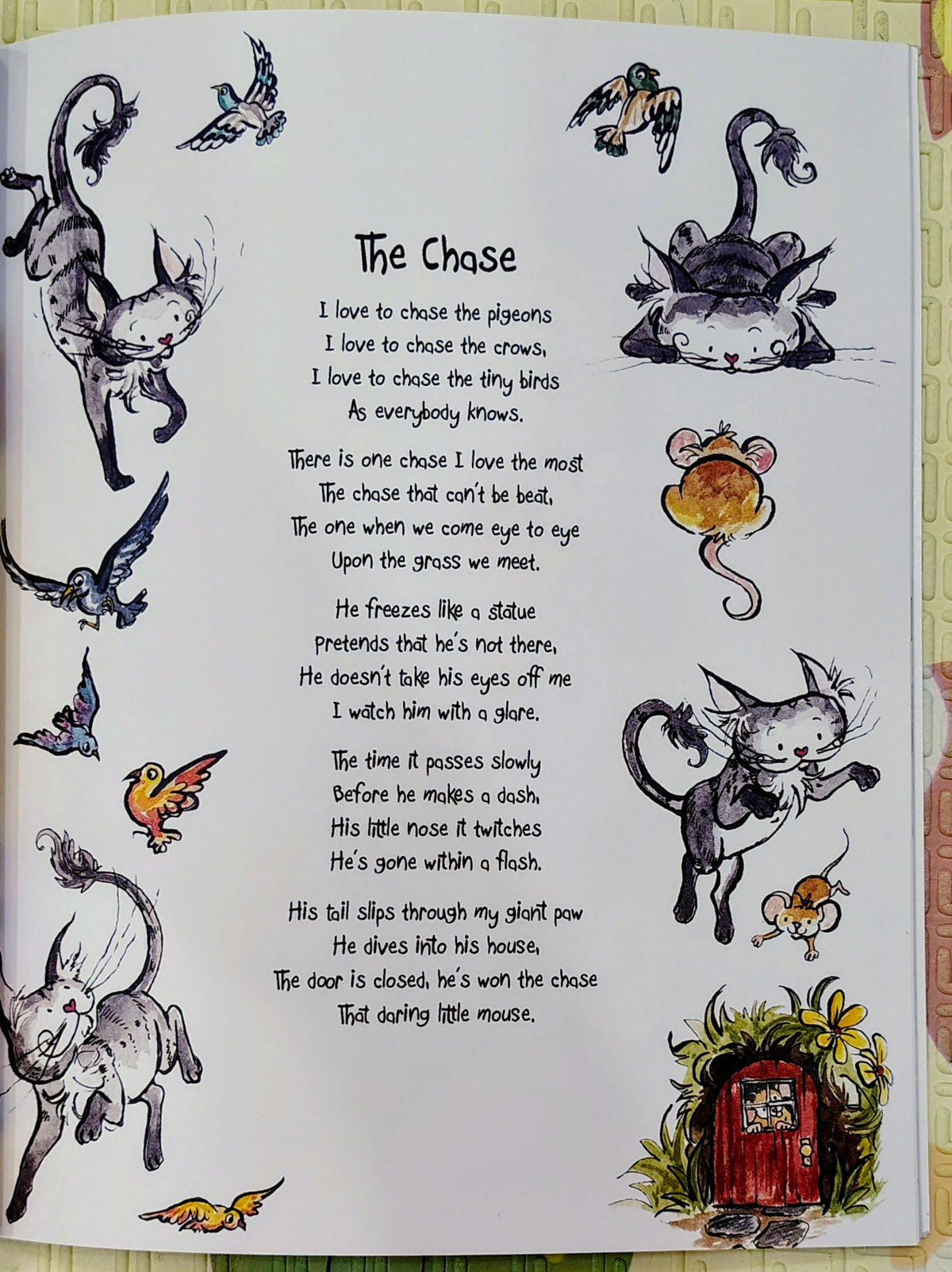 The Curious Adventures of Matisse the Cat and his Tickly Tales by Amanda Walsh