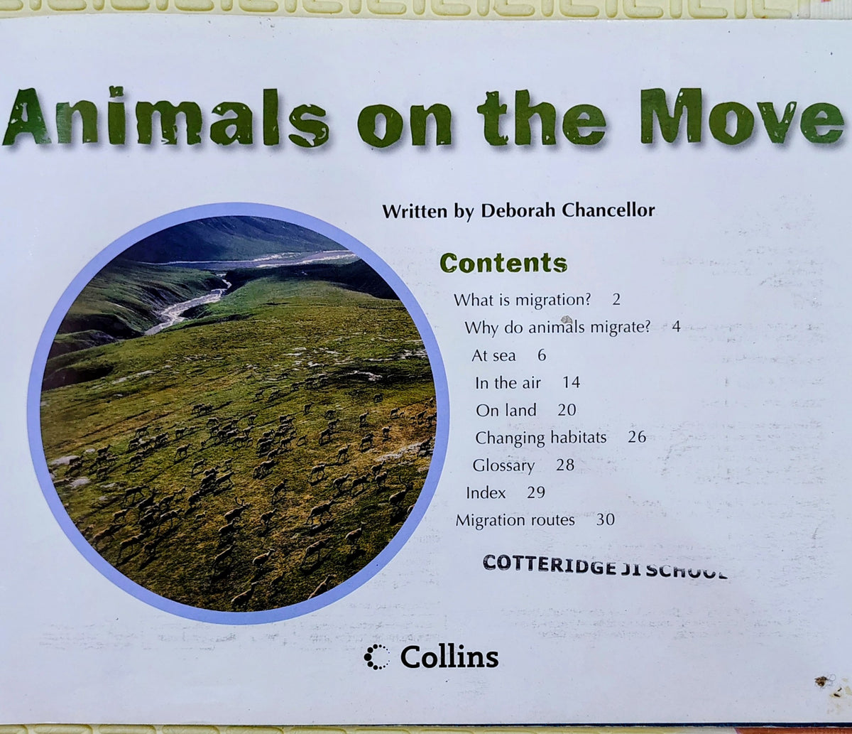 Animals on the Move by Deborah Chancellor | Collins Big Cat Band 12