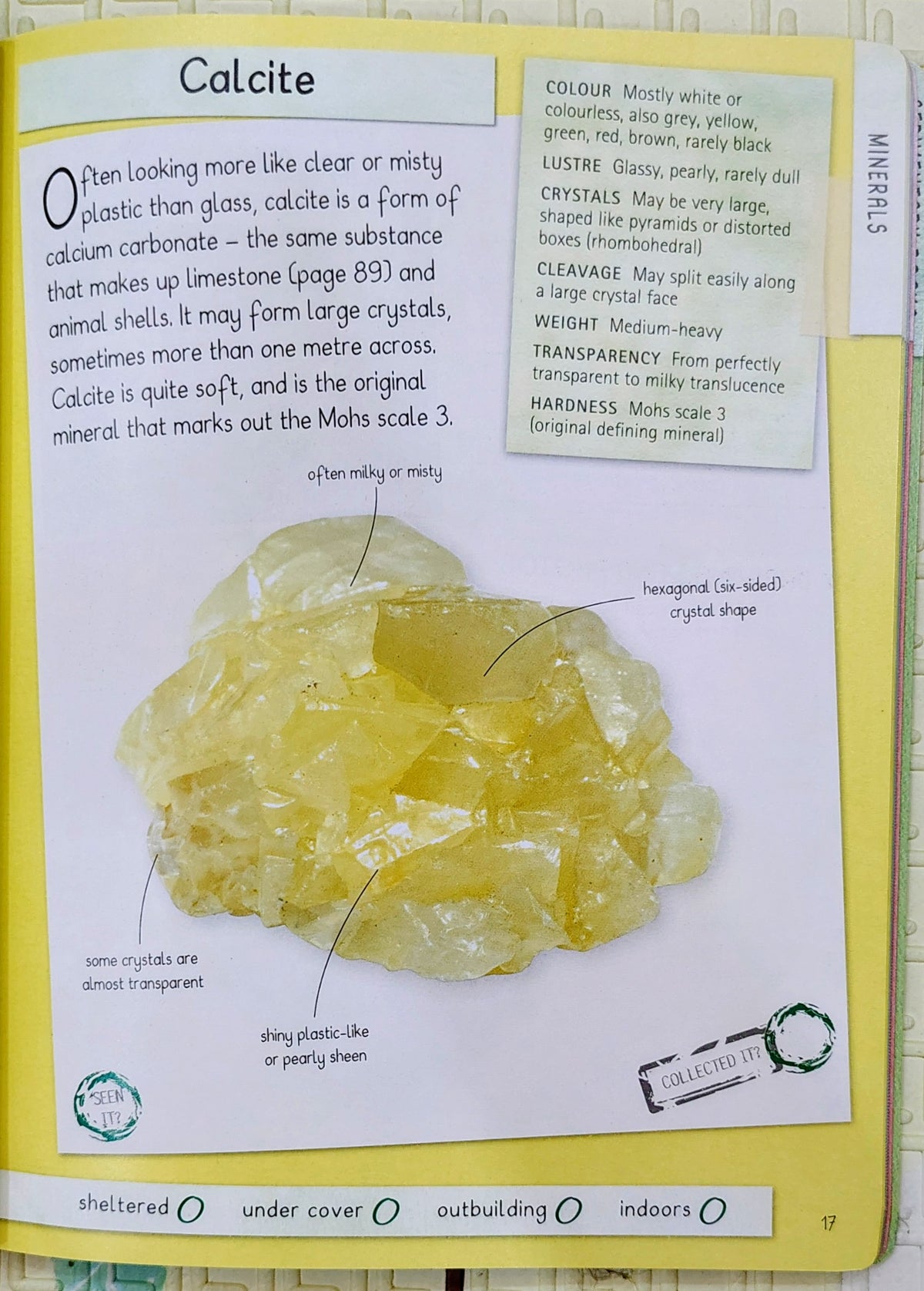 Handbook Rocks & Minerals | Miles Kelly Record Book