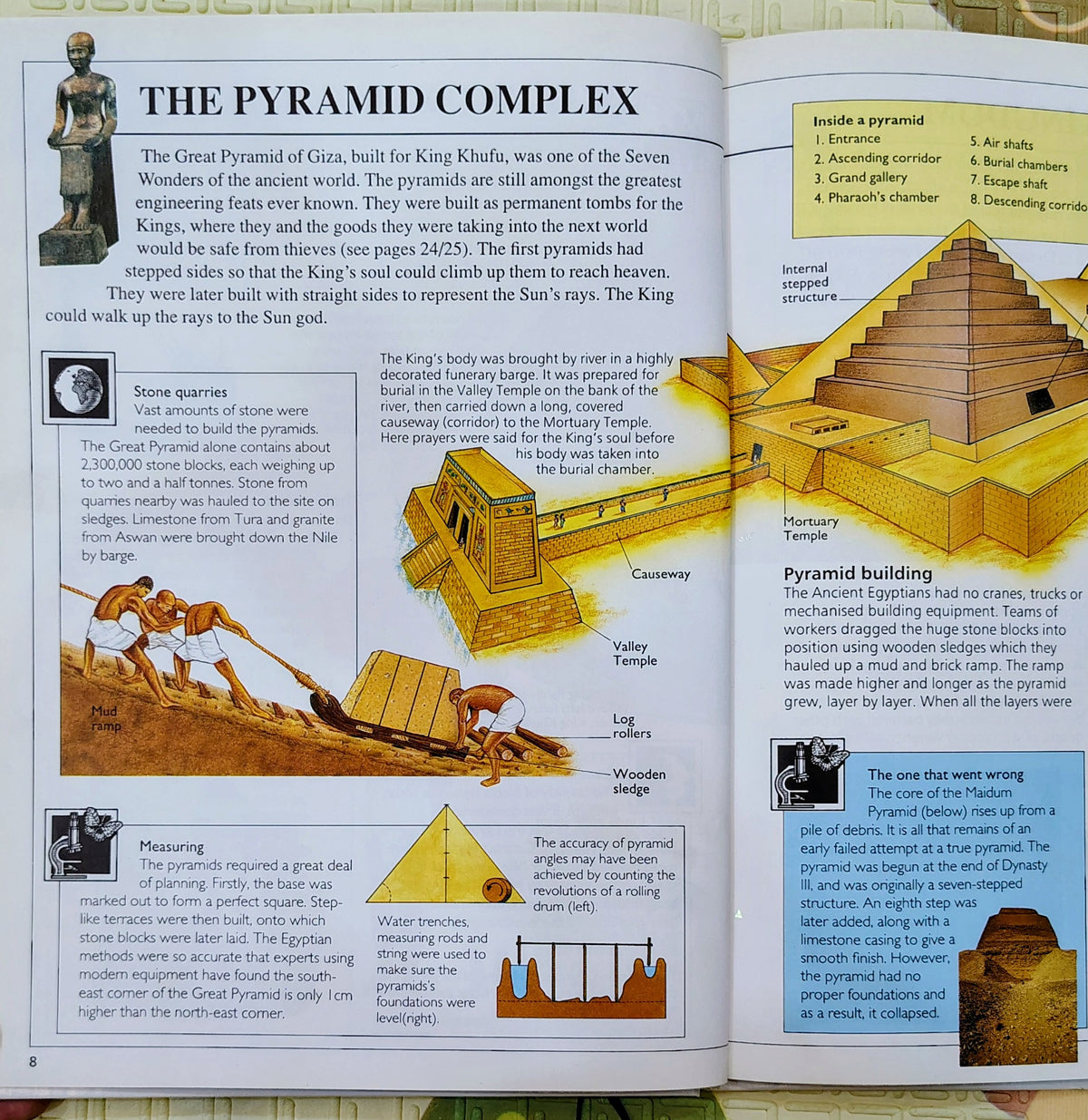 Focus on Ancient Egyptians | Watts | Educational