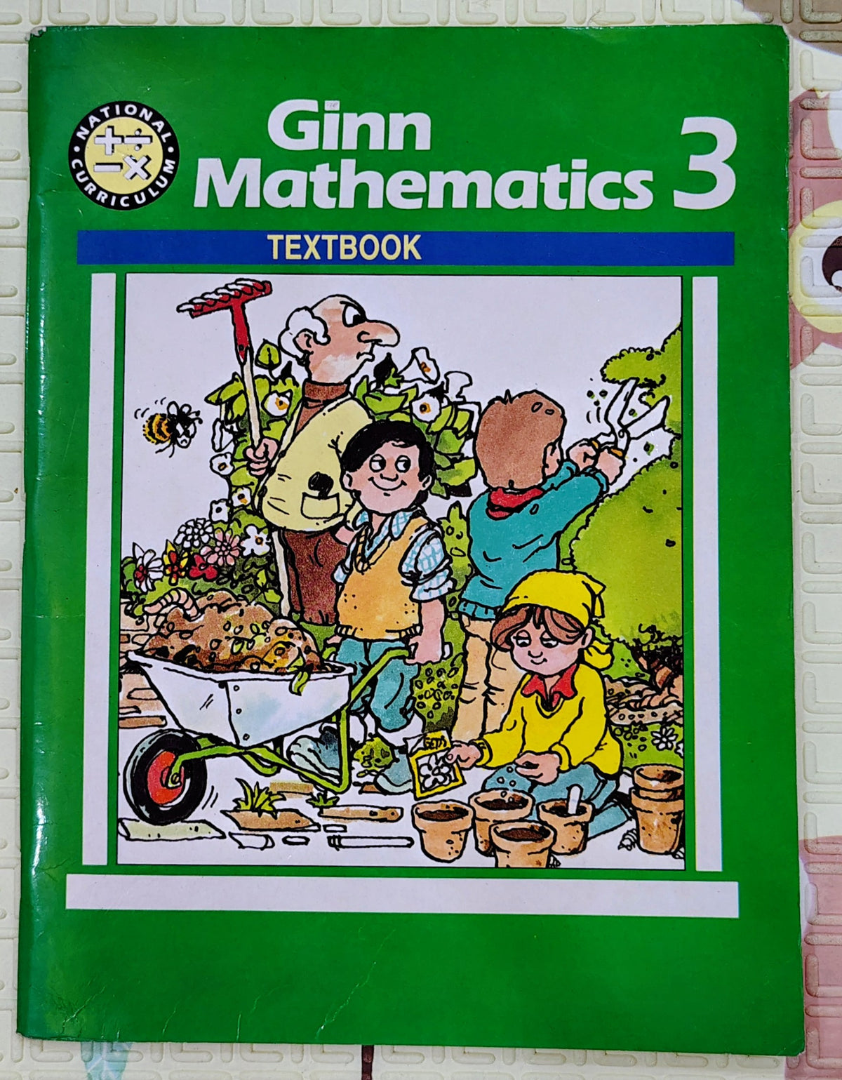Ginn Mathematics 3 Textbook | Education