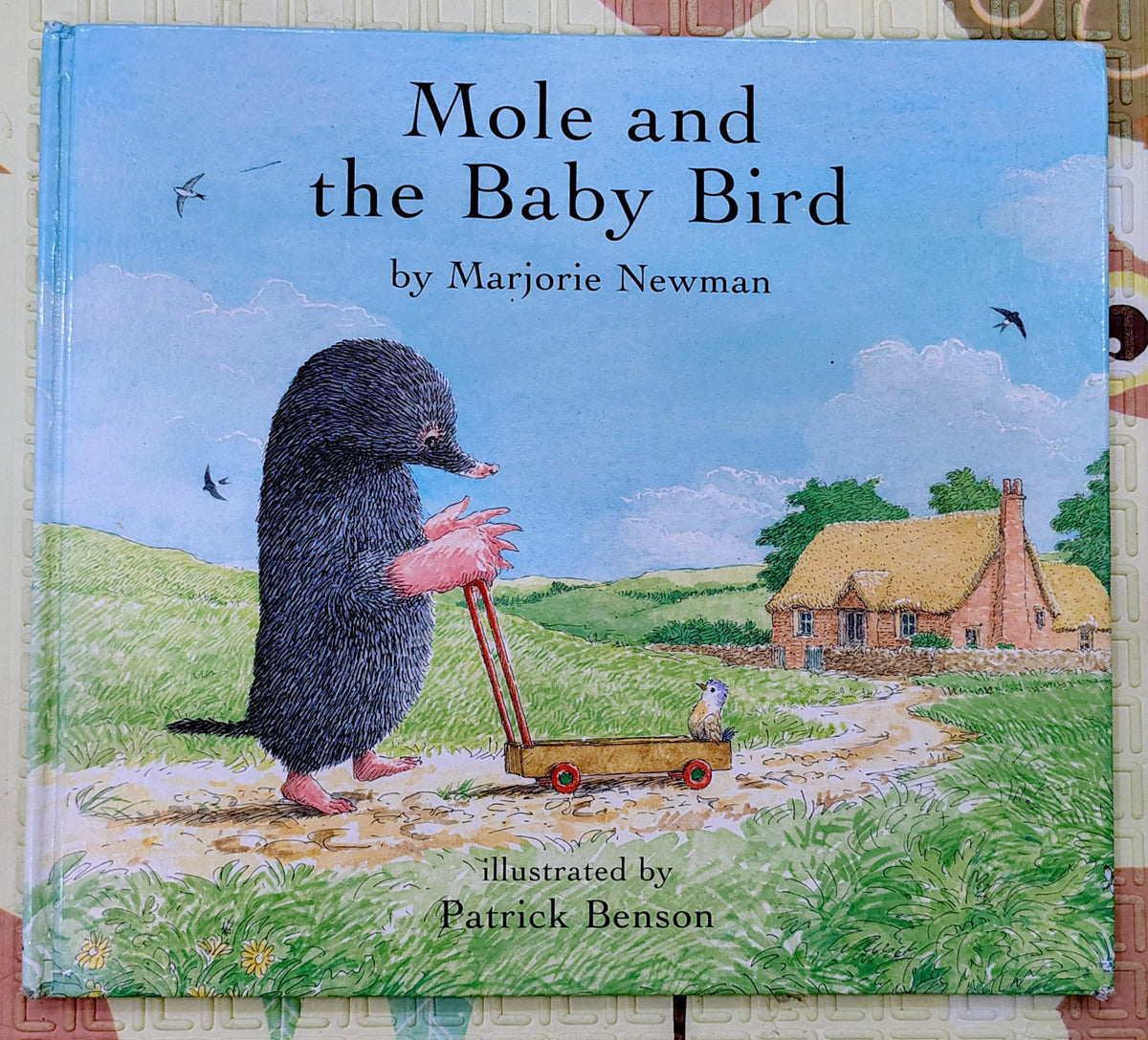 Mole and the Baby Bird by Marjorie Newman | Bloomsbury