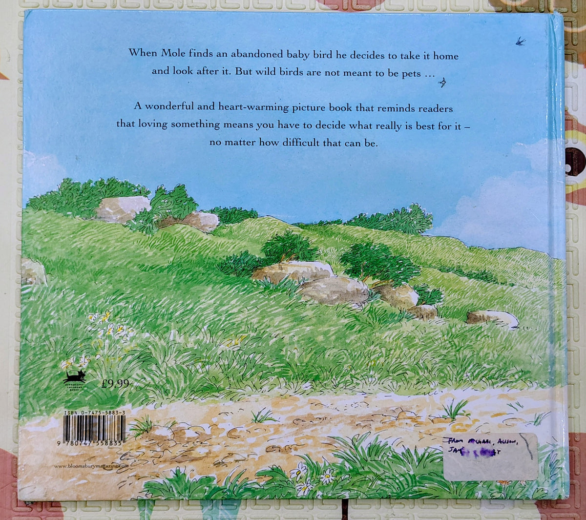 Mole and the Baby Bird by Marjorie Newman | Bloomsbury