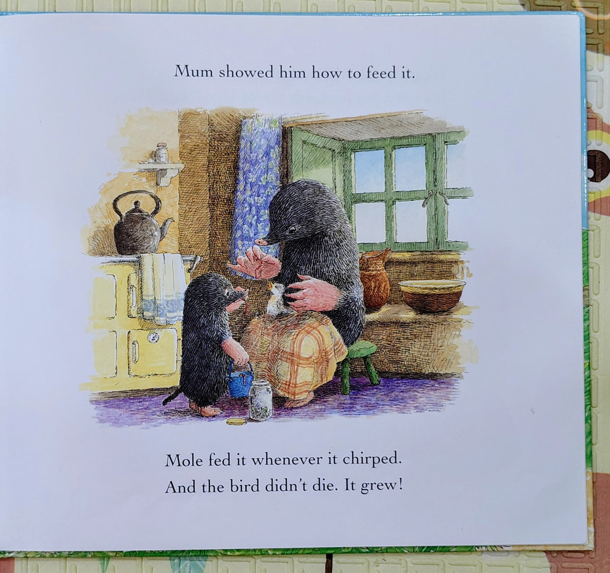 Mole and the Baby Bird by Marjorie Newman | Bloomsbury