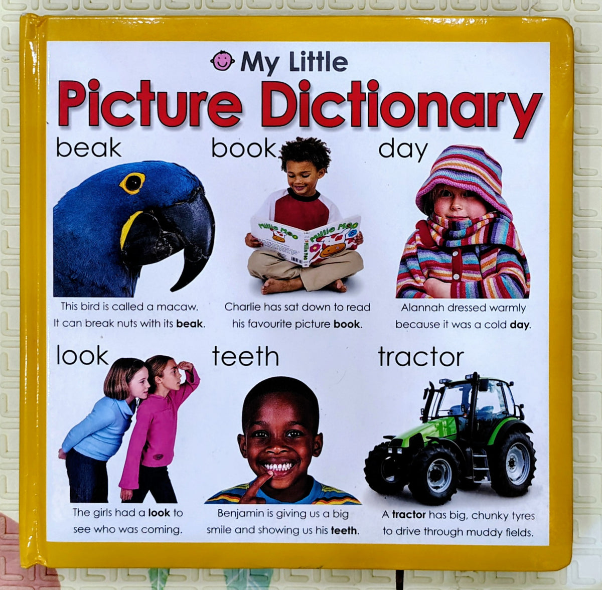 My Little Picture Dictionary | Priddy Books
