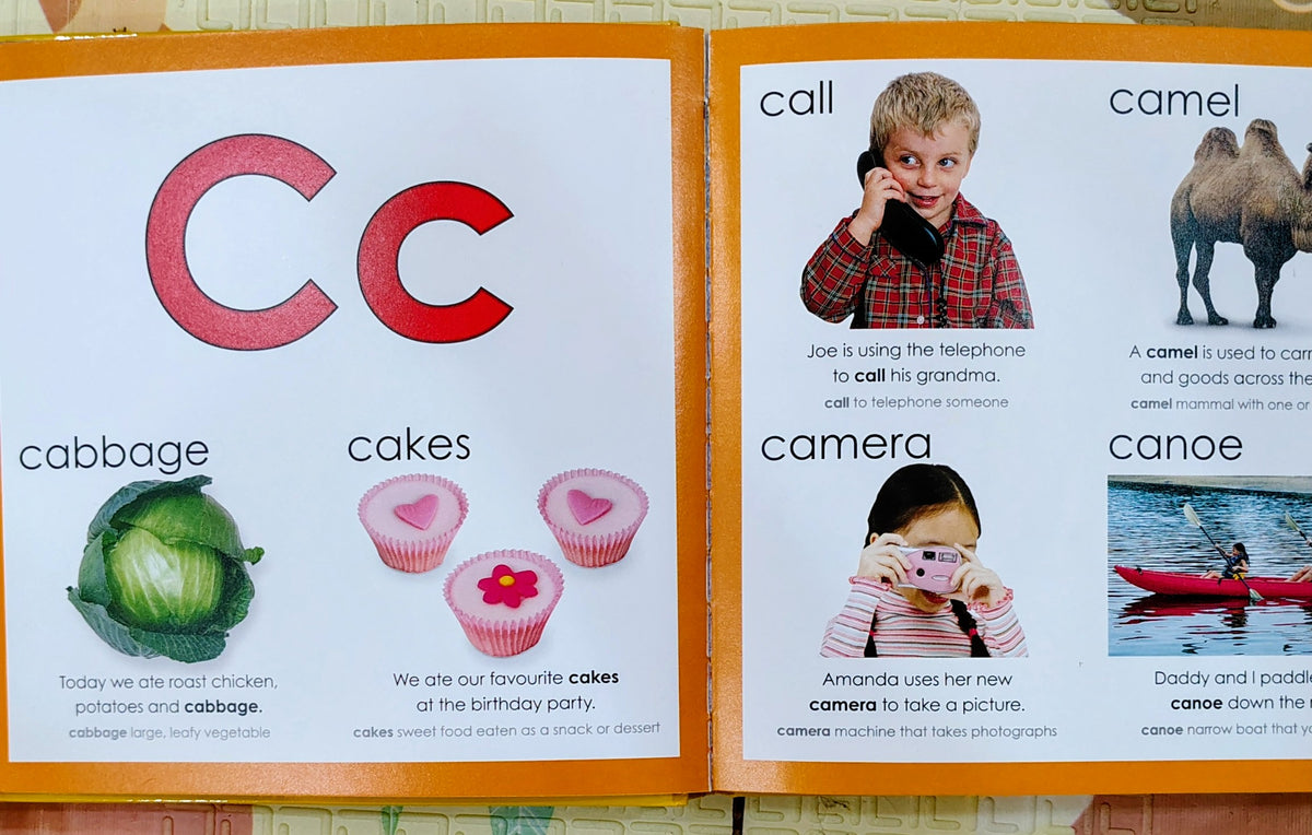 My Little Picture Dictionary | Priddy Books