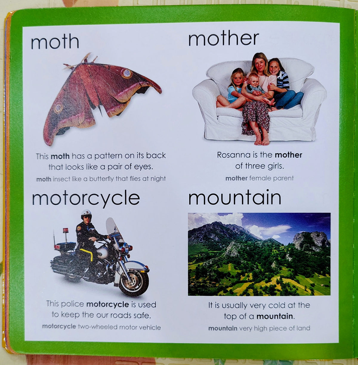 My Little Picture Dictionary | Priddy Books