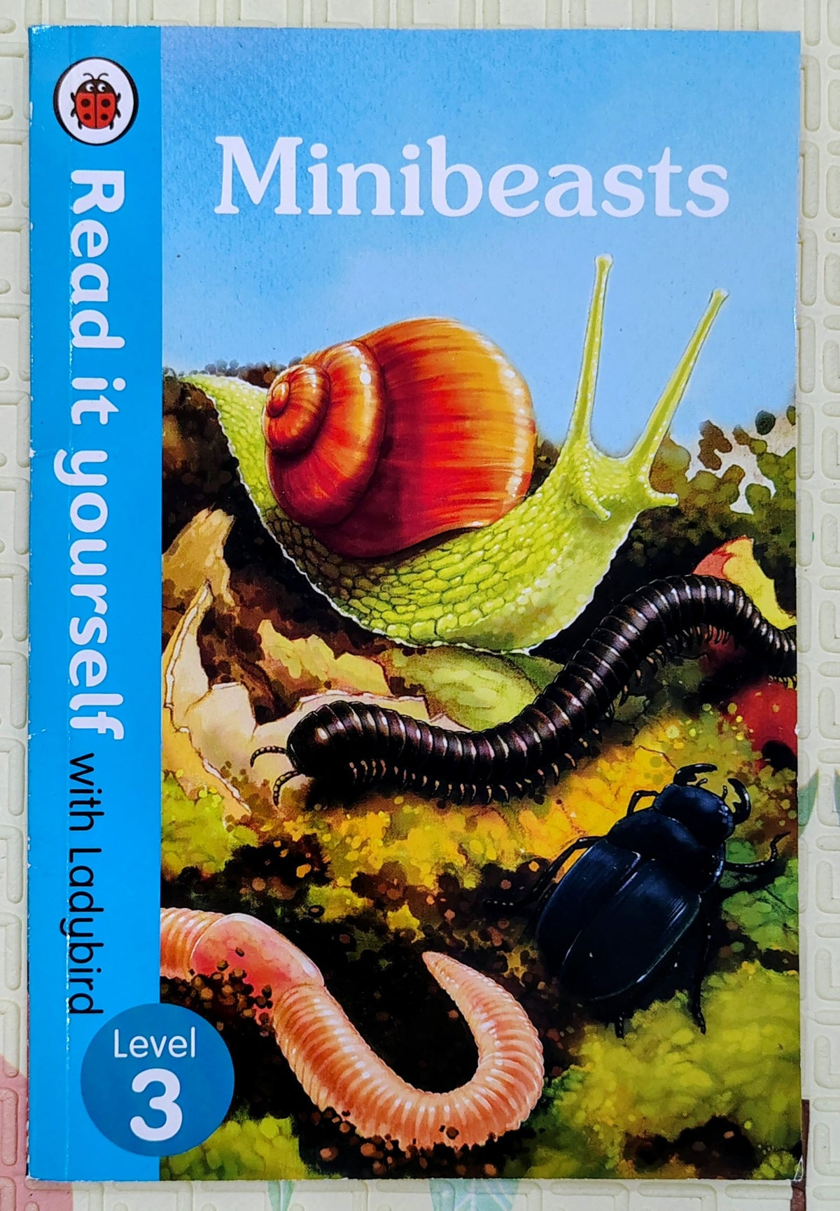 Minibeasts | Read with Ladybird Level 3