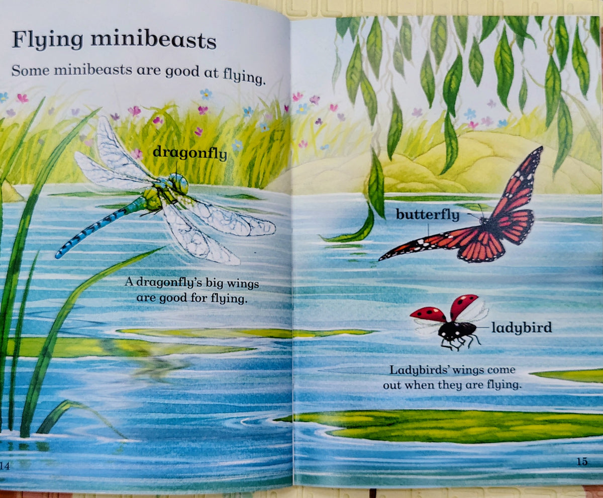 Minibeasts | Read with Ladybird Level 3