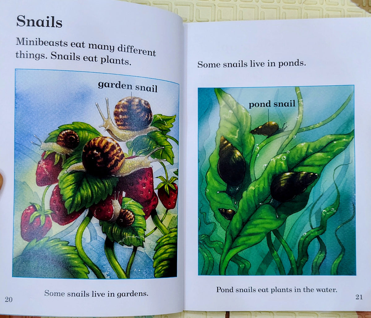 Minibeasts | Read with Ladybird Level 3
