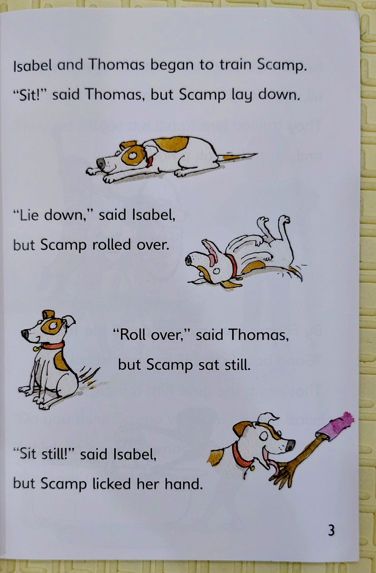 The Dog Show by Jill Atkins and Rupert Van Wyk | Reading Champion