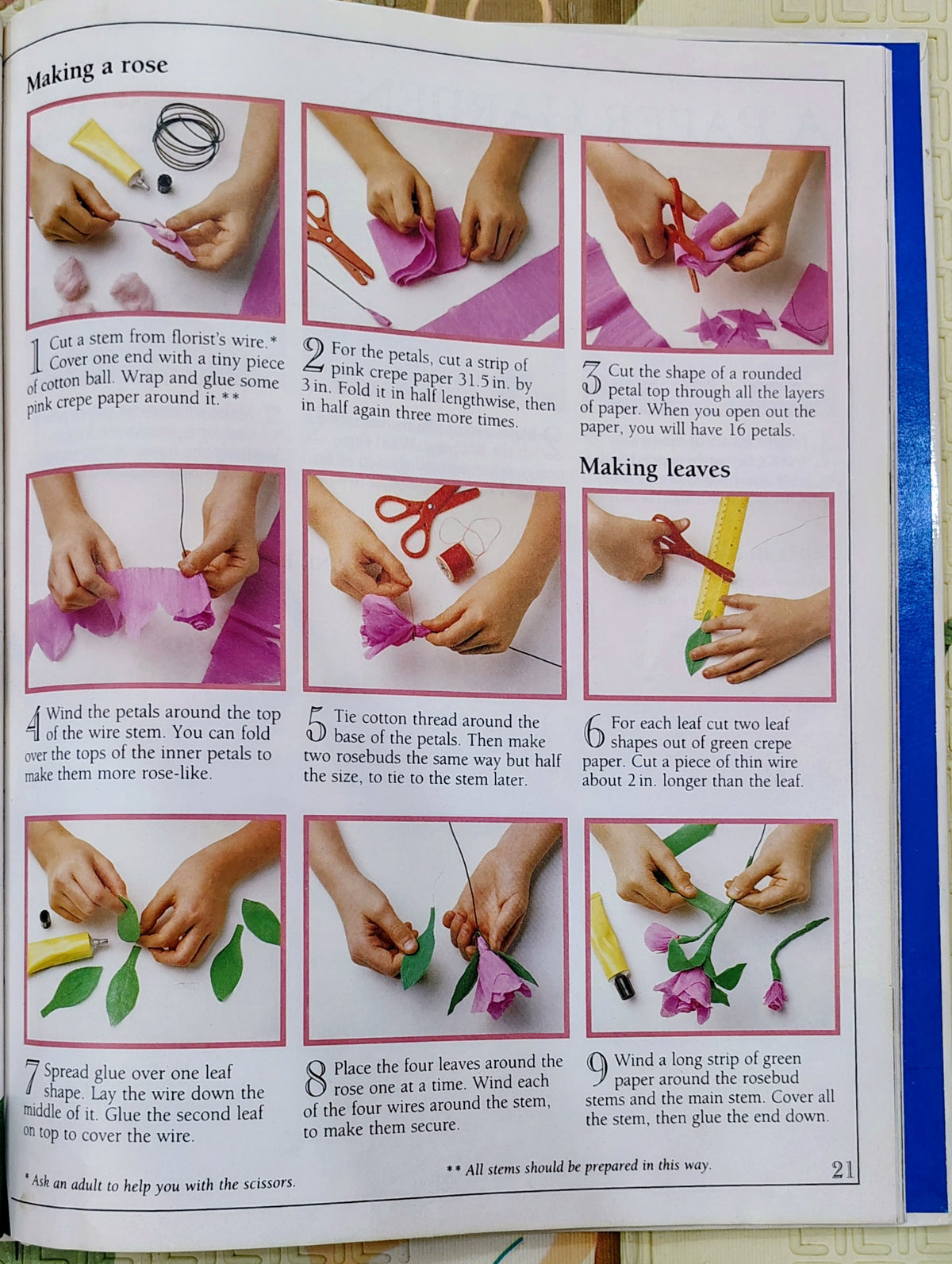 My First Activity Book | Life-Size Guide