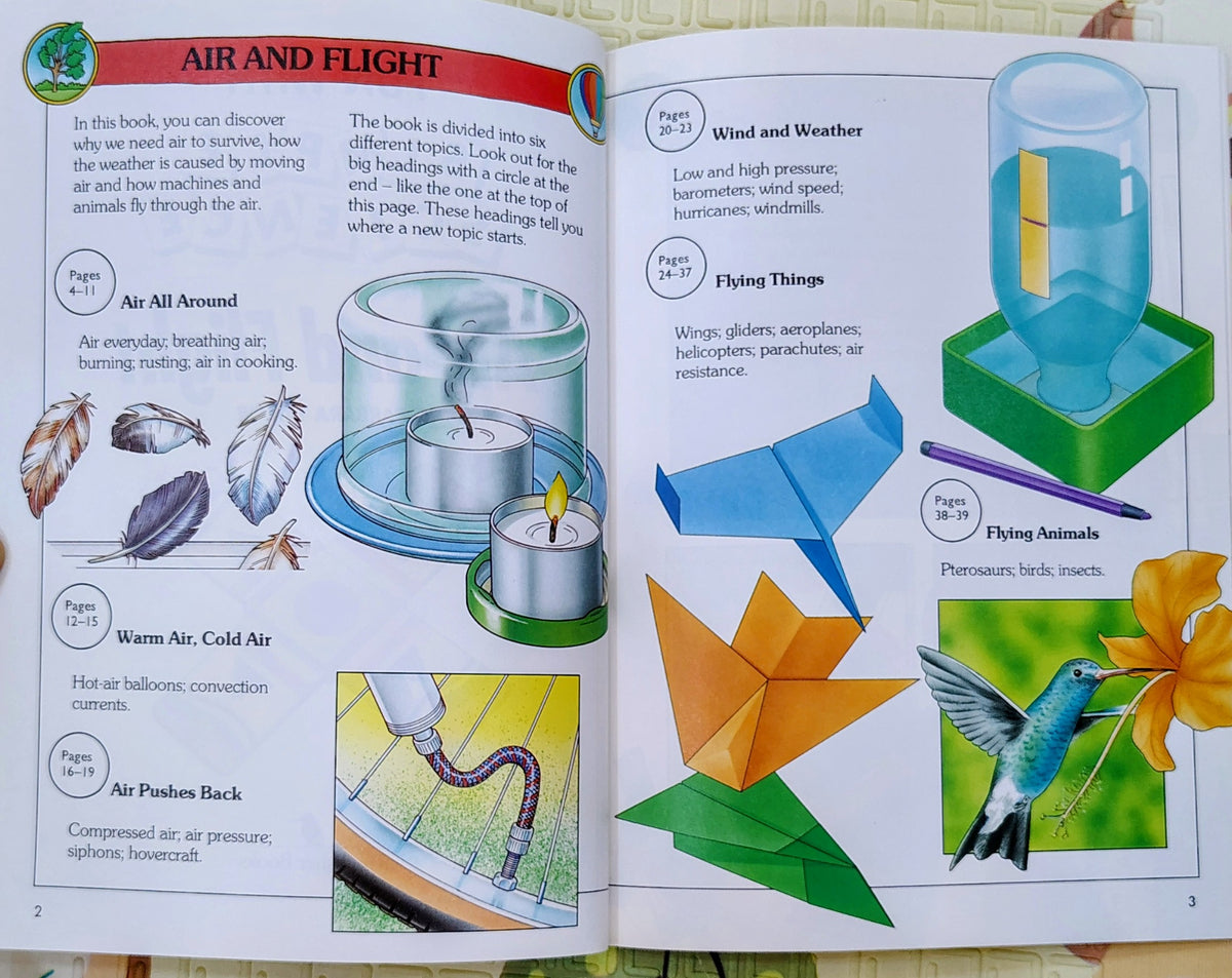Fun with Simple Science: Air and Flight by Barbara Taylor | Educational