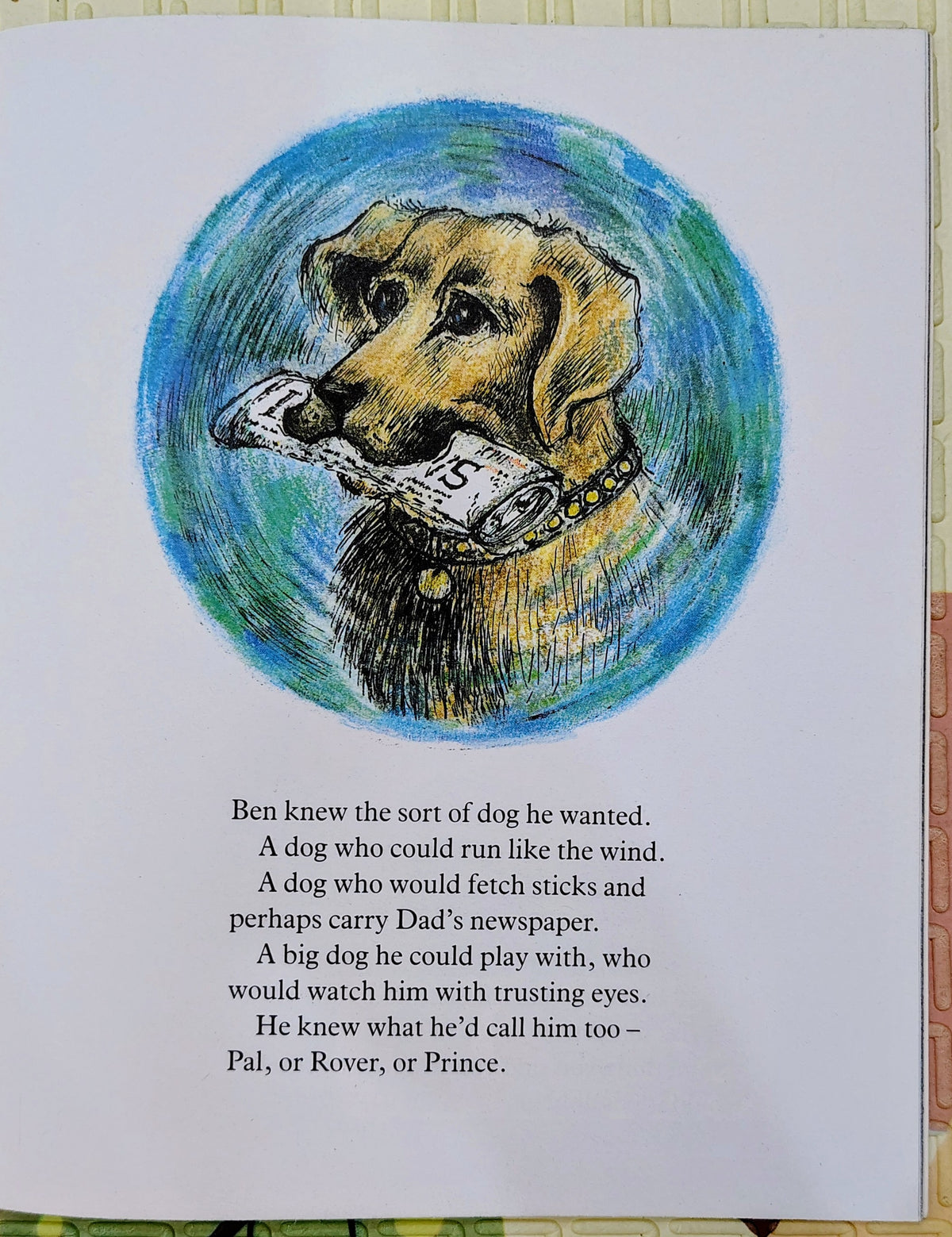 A Dog for Ben by Jean Richardson and Joanna Carey | Picture Puffin