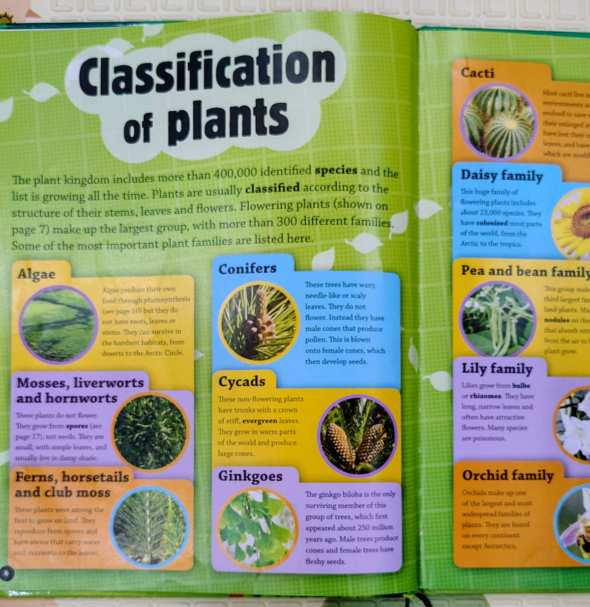 Why Do Plants Have Flowers? by Wildlife Wonders | Franklin Watts