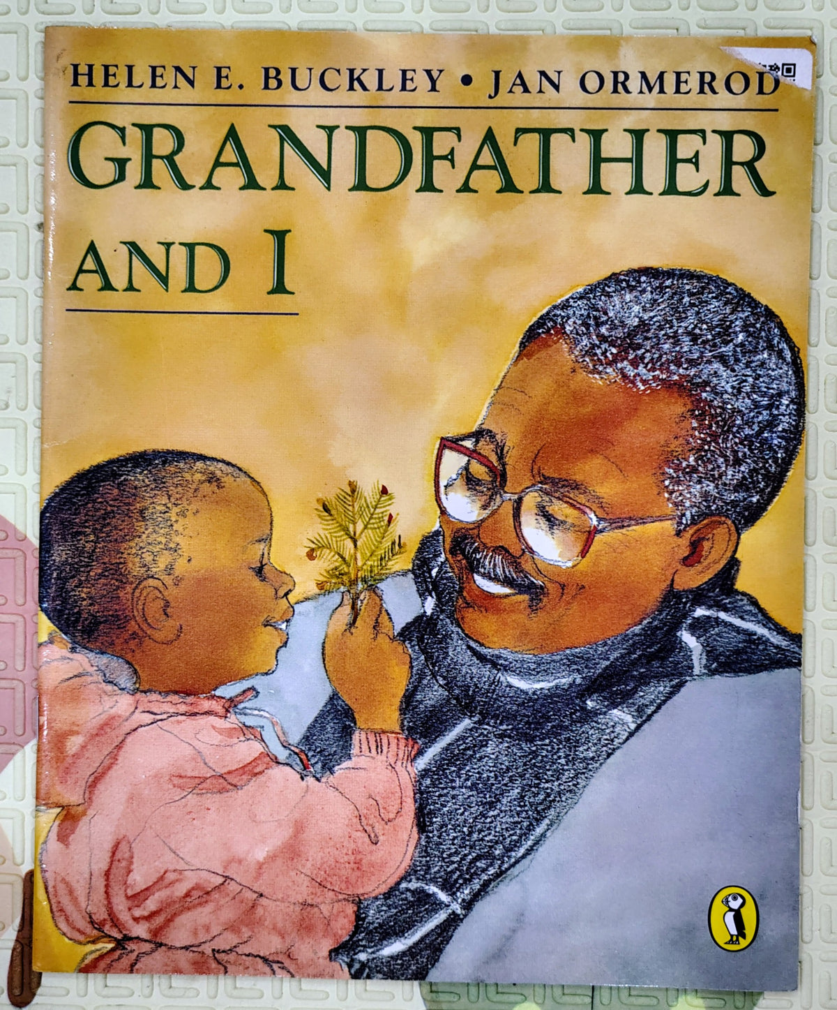 Grandfather and I by Helen E. Buckley and Jan Ormerod | Puffin