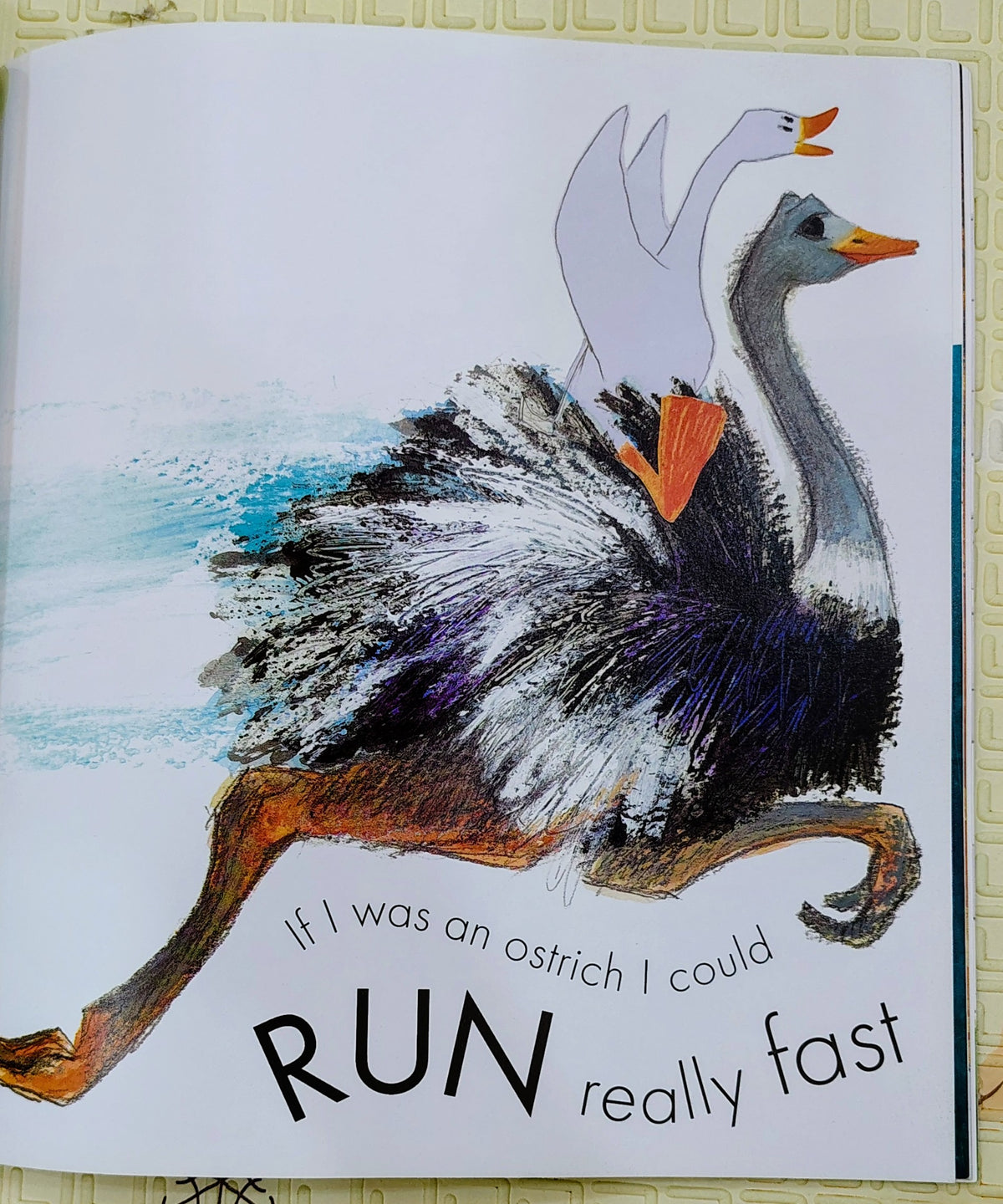Silly Suzy Goose by Petr Horáček | Walker Books