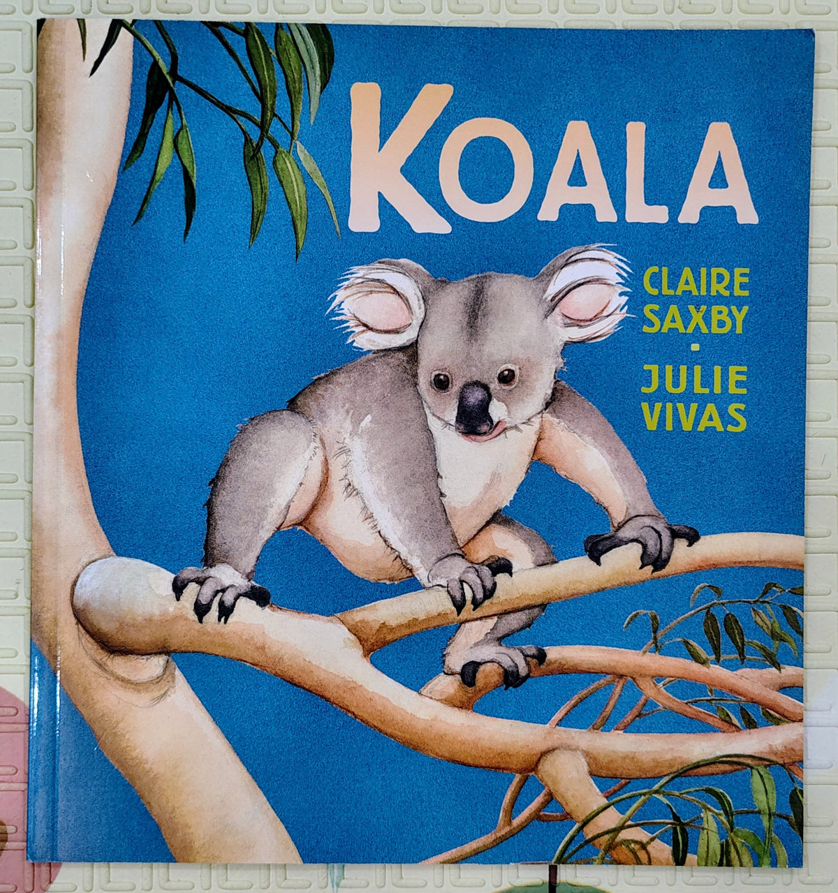 Koala by Claire Saxby & Julie Vivas | Walker | Nature Story