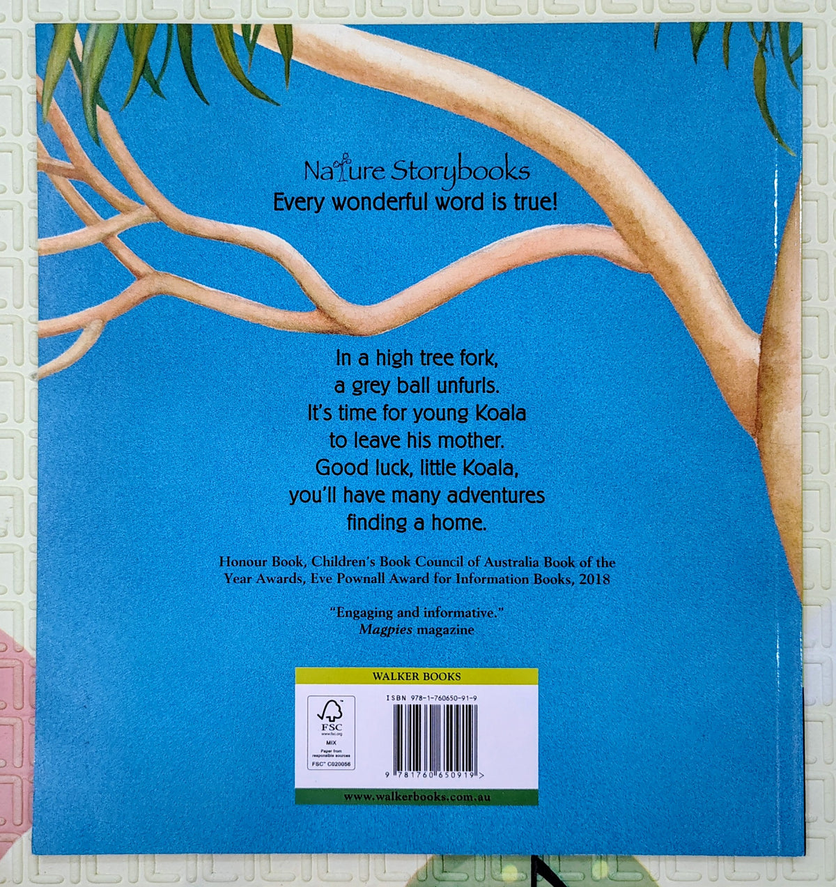 Koala by Claire Saxby & Julie Vivas | Walker | Nature Story
