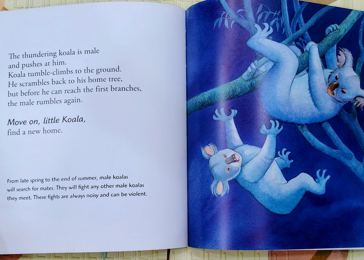 Koala by Claire Saxby & Julie Vivas | Walker | Nature Story