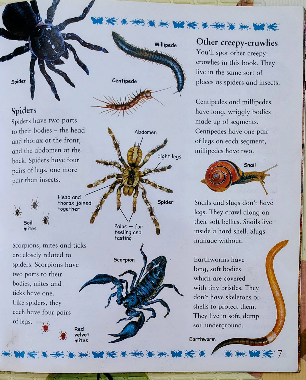 My Best Book of Creepy Crawlies | Kingfisher | Nature