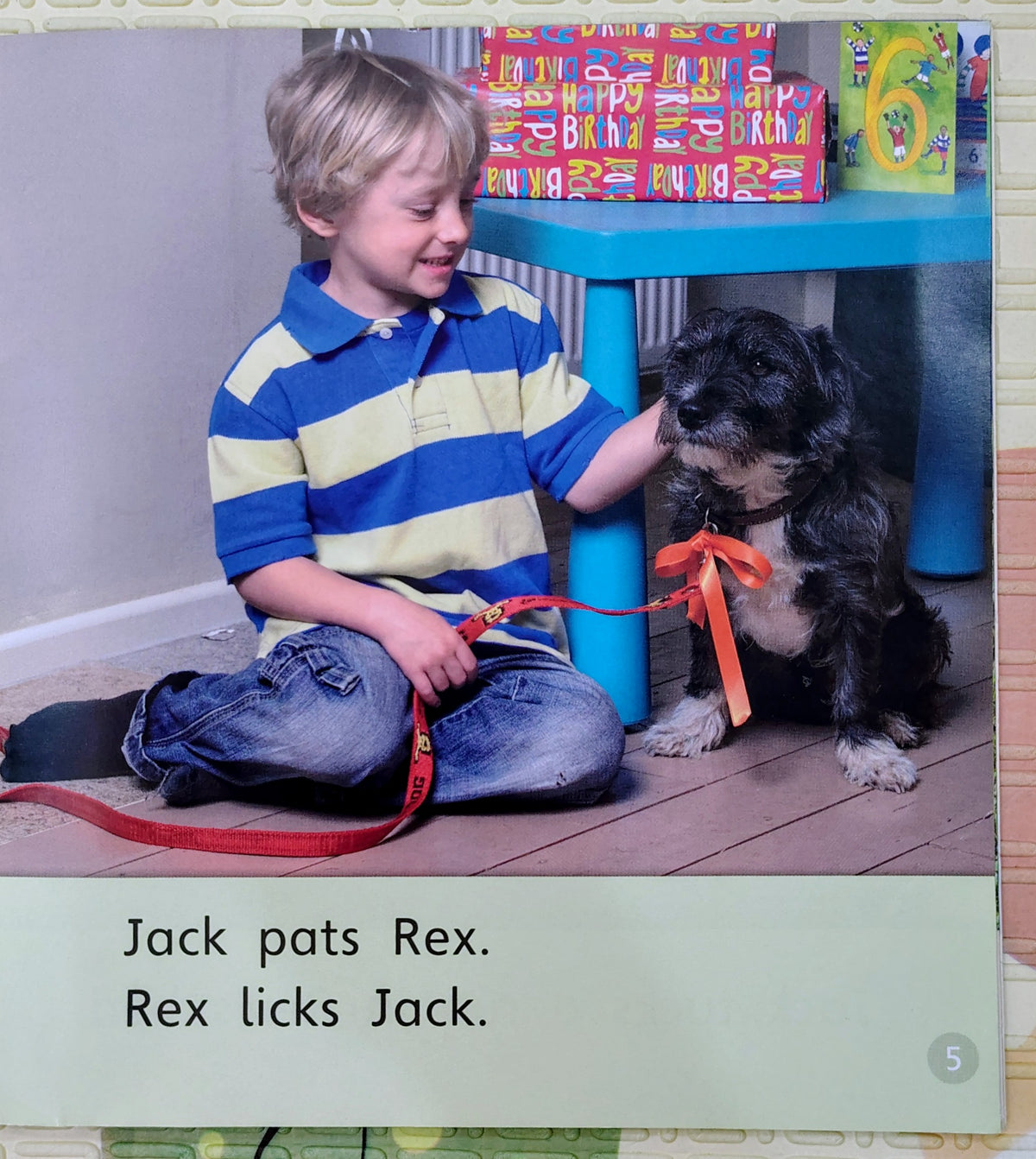 Jack Gets a Pet by Emma Lynch | Phonics Bug Phase 3