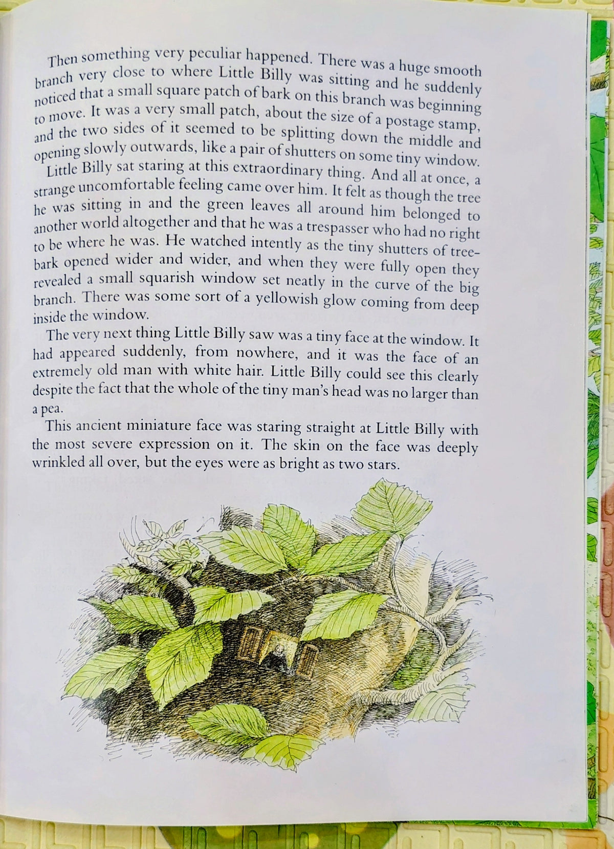 The Minpins by Roald Dahl | Puffin
