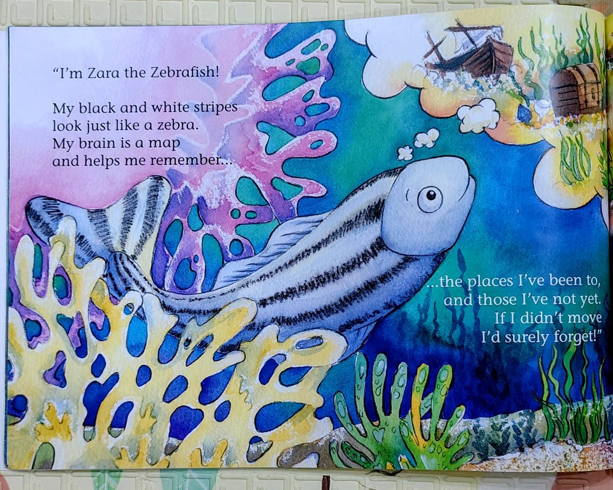 Sammy the Sea Squirt by Ezra Hewing and Emma Graham |  Marine Life