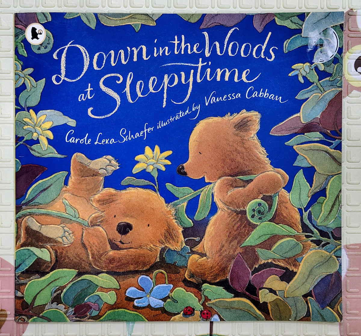 Down in the Woods at Sleepytime by Carole Lexa Schaefer | Walker