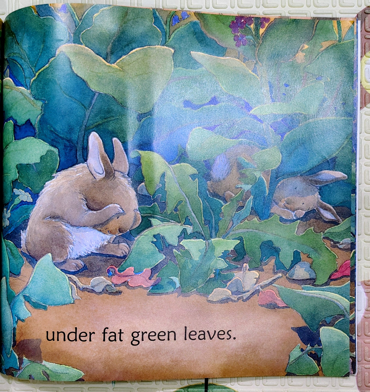 Down in the Woods at Sleepytime by Carole Lexa Schaefer | Walker