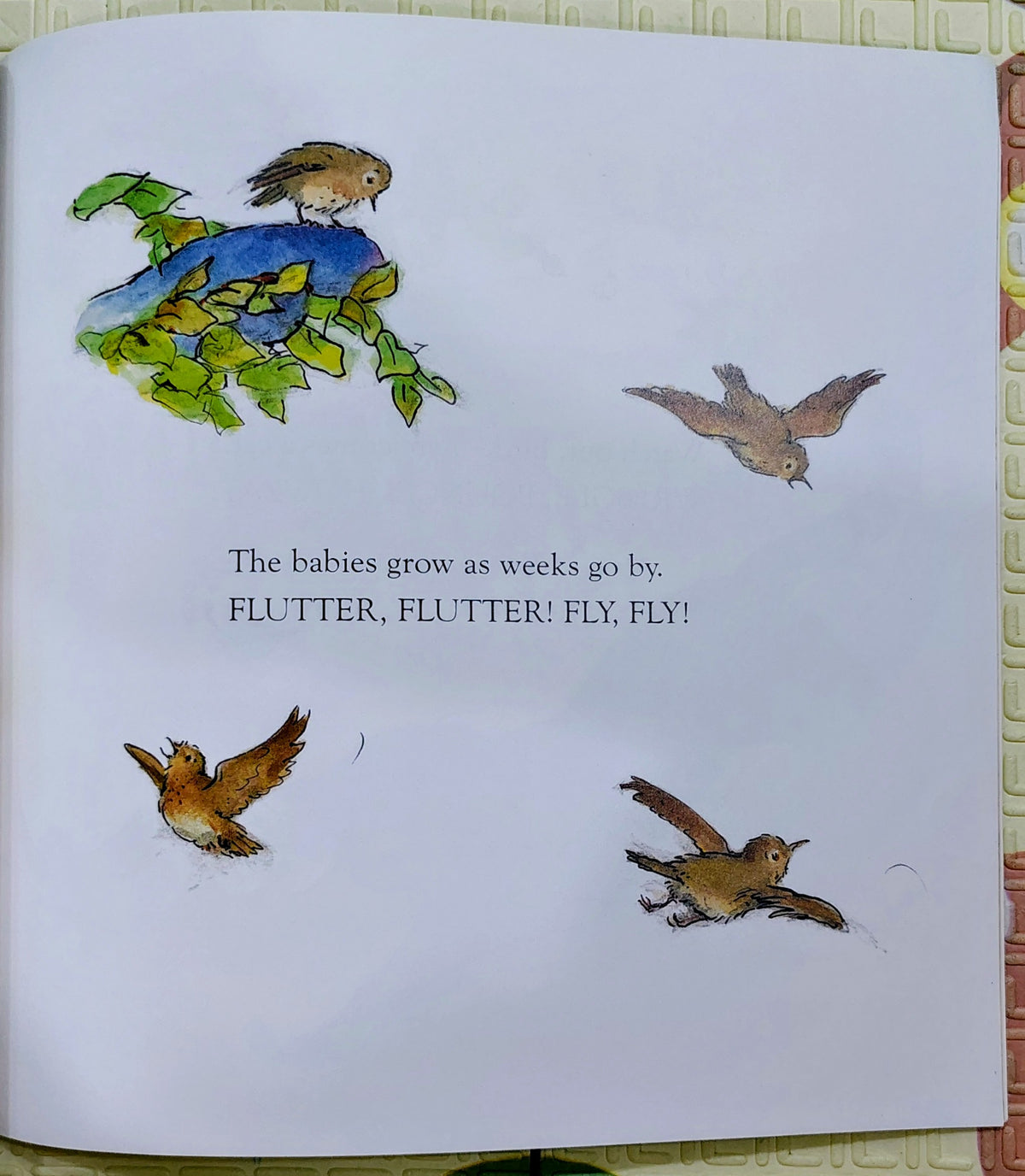 Rosie's Hat by Julia Donaldson and Anna Currey | Macmillan