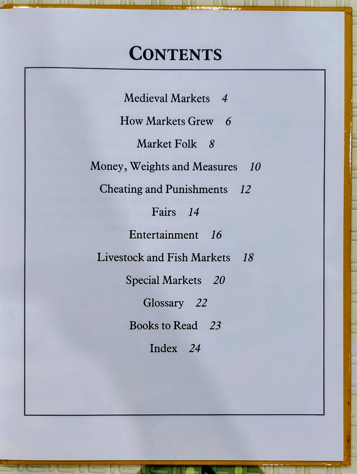 Medieval Markets by Fiona Macdonald | Wayland | History