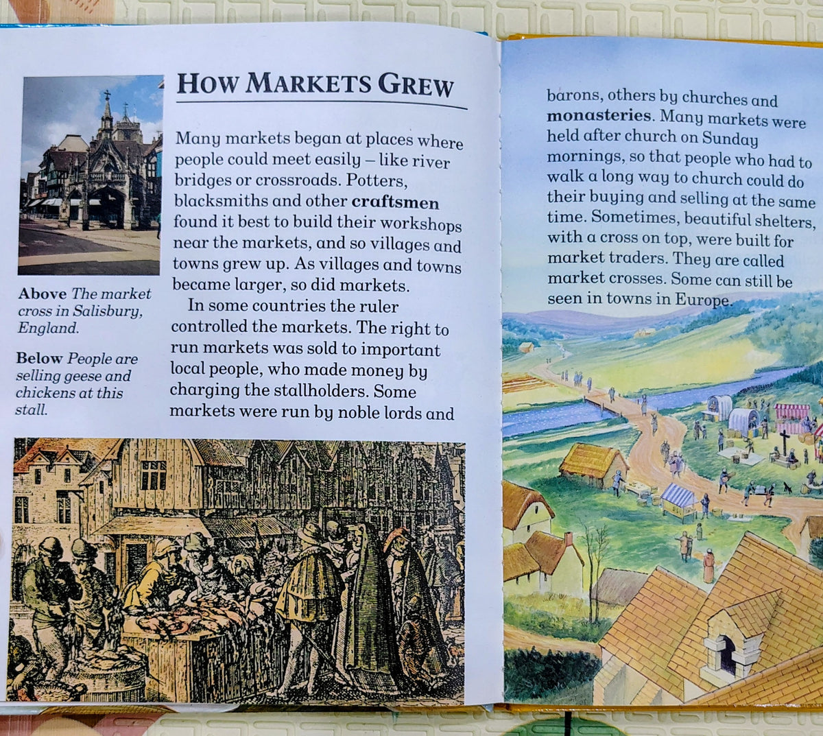Medieval Markets by Fiona Macdonald | Wayland | History