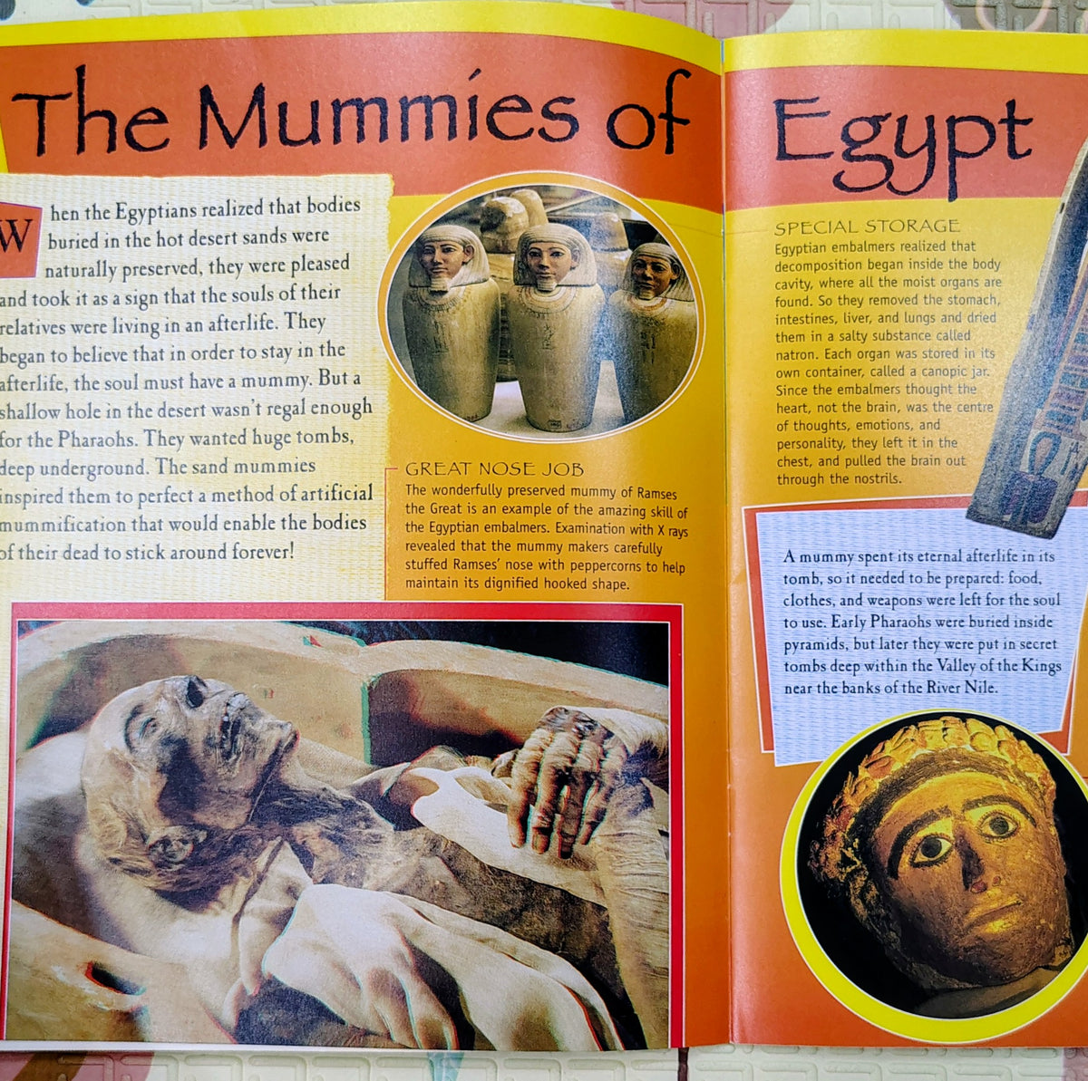 Mummies (3-D Thrillers!)| Curious Minds