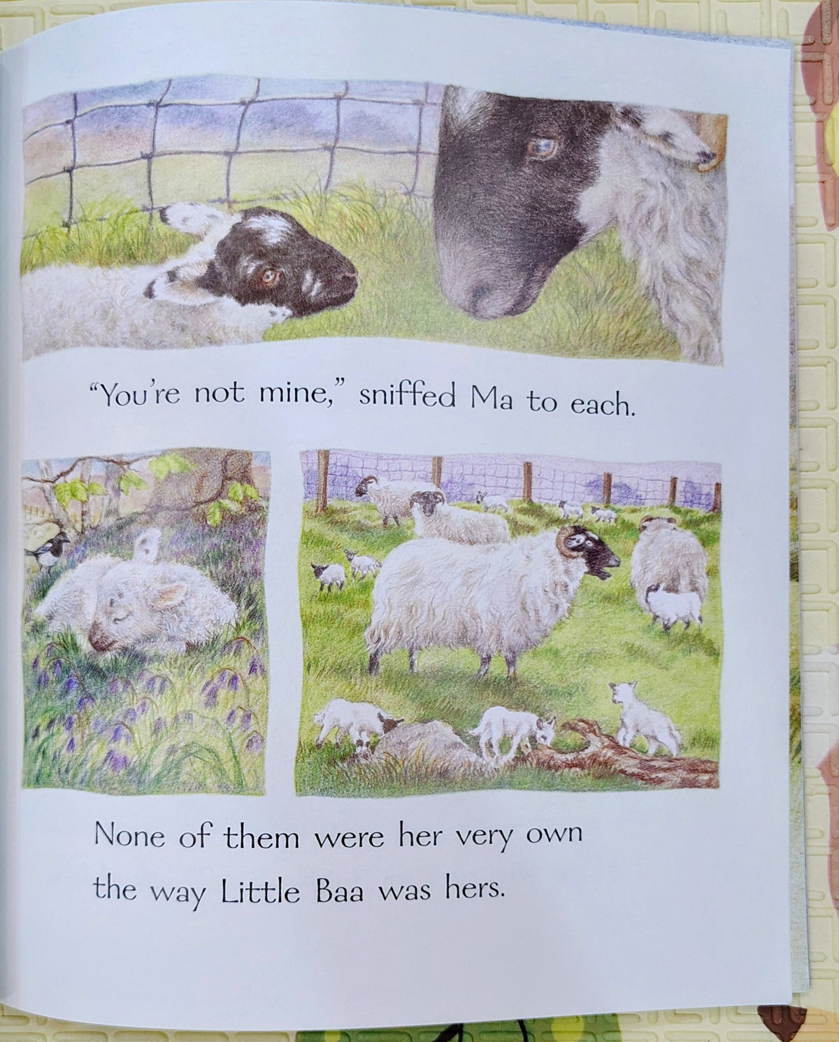 Little Baa by Kim Lewis | Walker Books