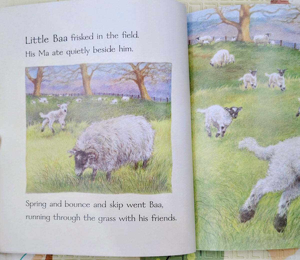 Little Baa by Kim Lewis | Walker Books