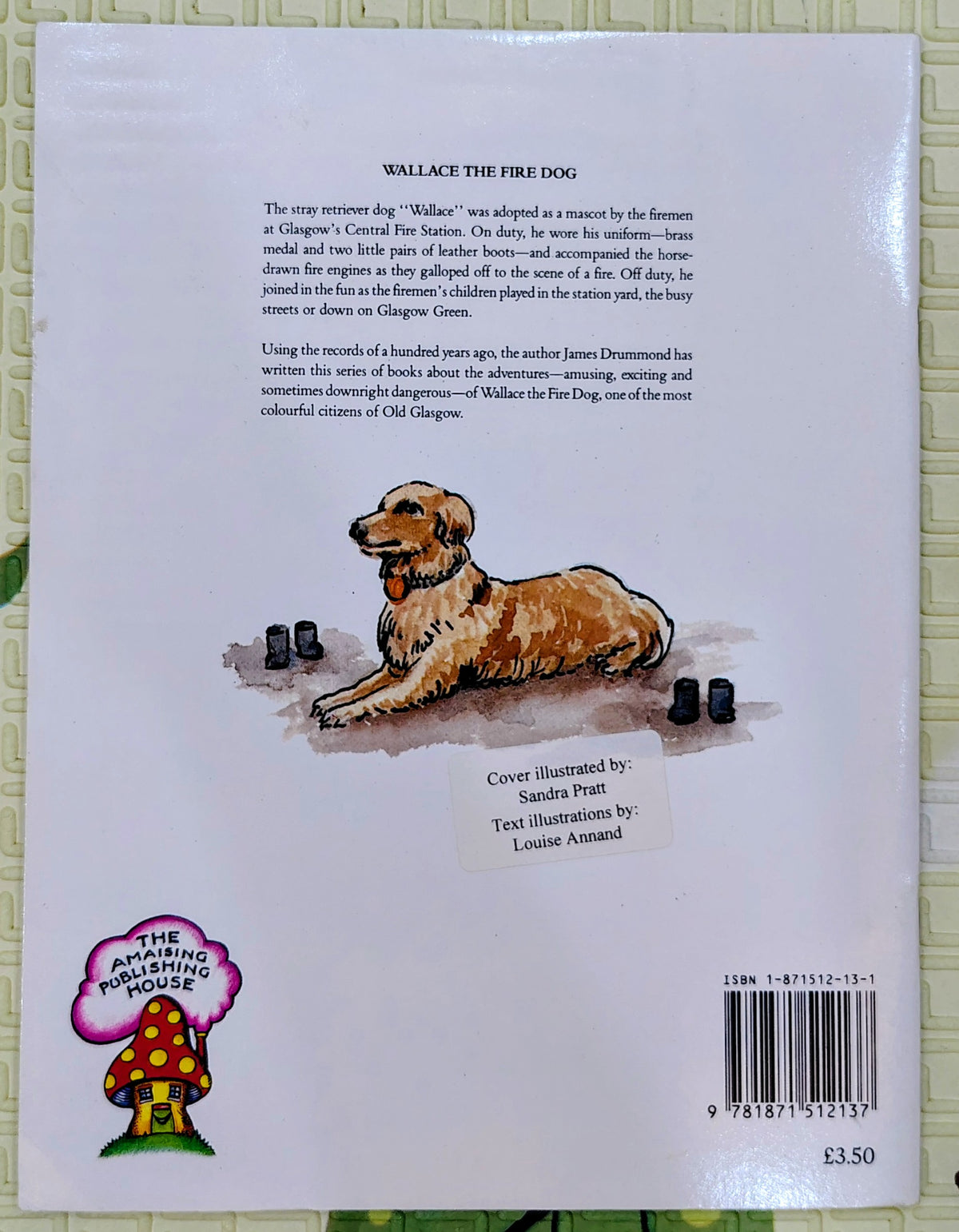 Wallace the Fire Dog by James Drummond