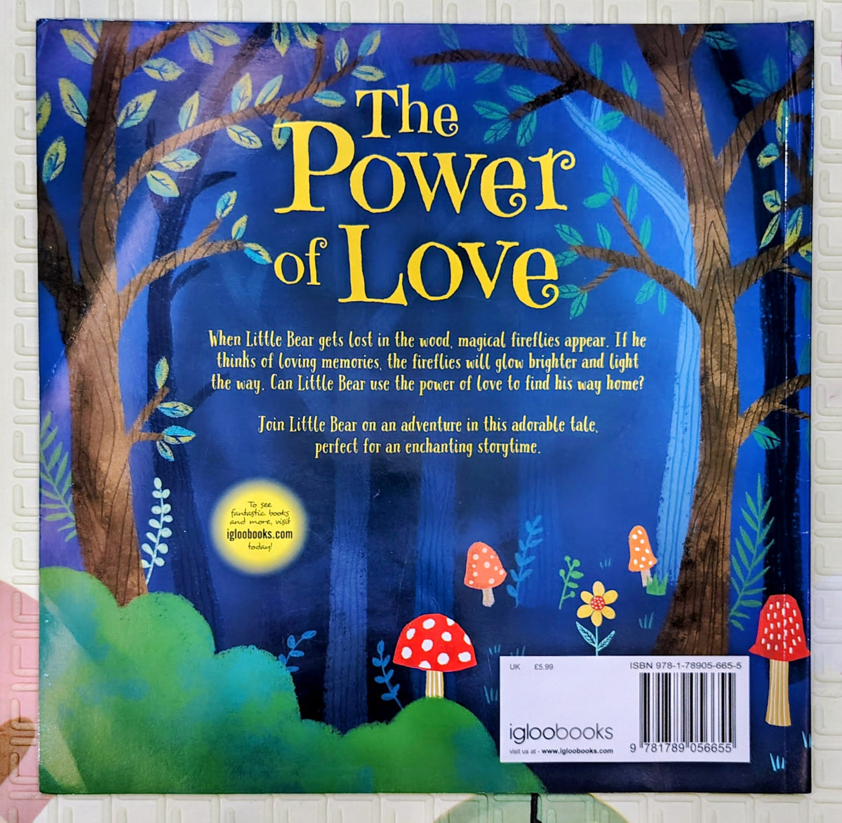 The Power of Love by Caroline Richards | IglooBooks Magical Tales