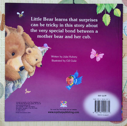 Little Bear's Big Adventure by Julia Huber | Top That