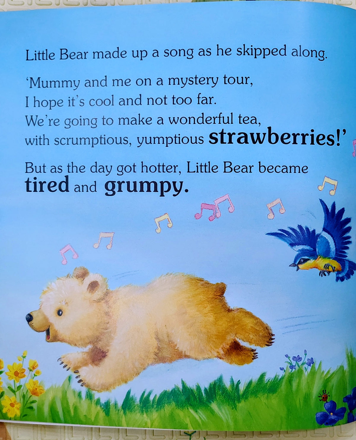 Little Bear's Big Adventure by Julia Huber | Top That