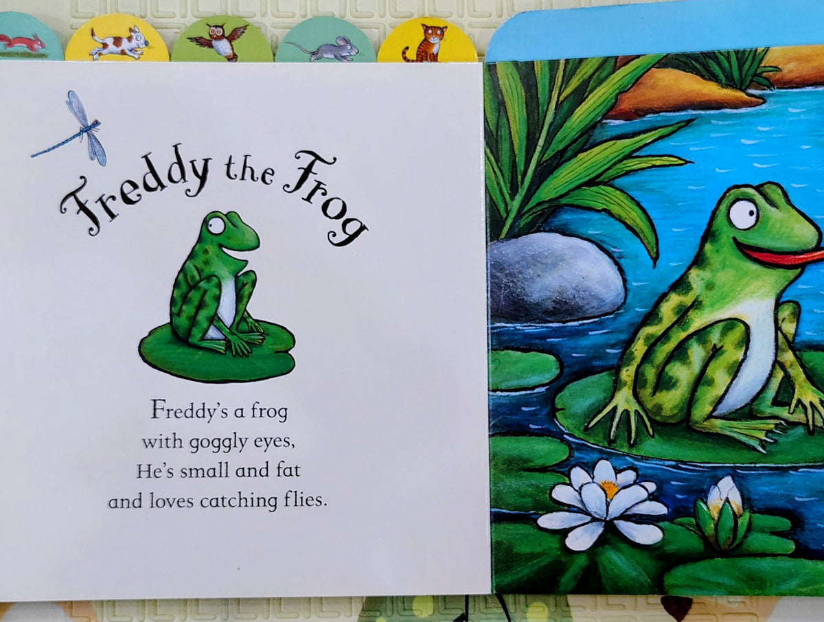 Treasury of Rhyming Stories by Axel Scheffler | Campbell