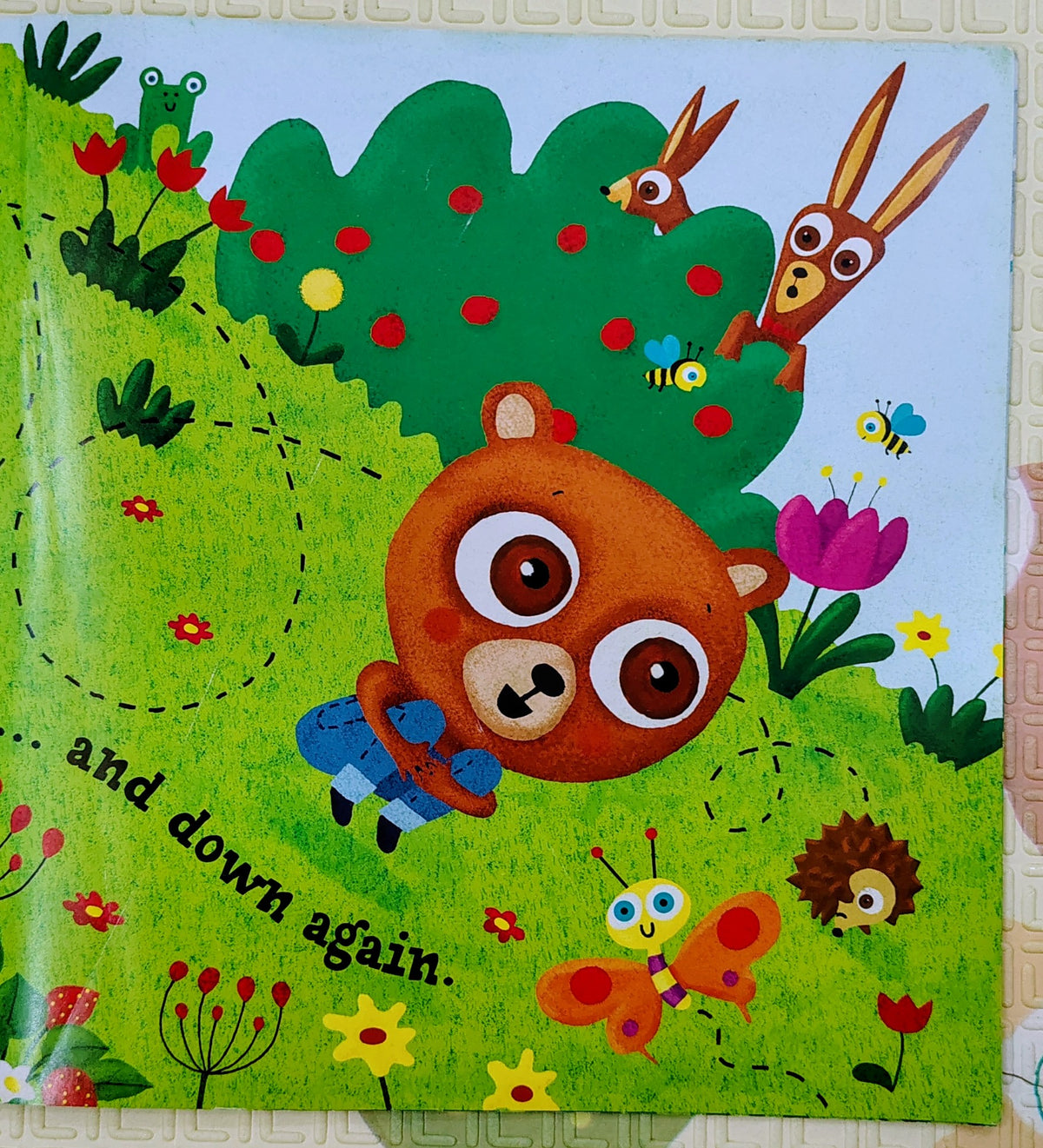 Little Bears' Picnic by Albert Pinilla | IglooBooks