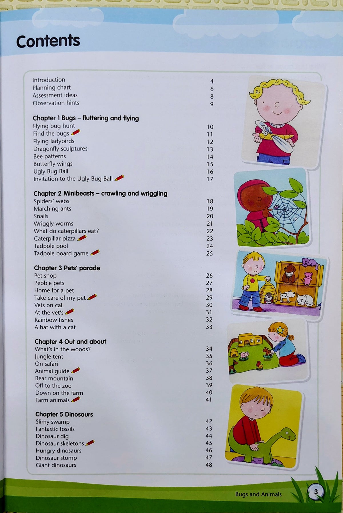 Bugs and Animals by Liz Powlay | Play Foundations | 3-5 years Play Activities