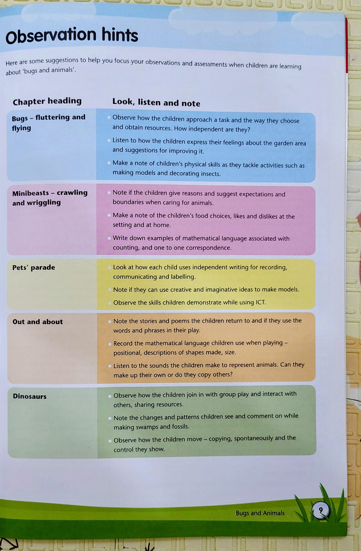 Bugs and Animals by Liz Powlay | Play Foundations | 3-5 years Play Activities