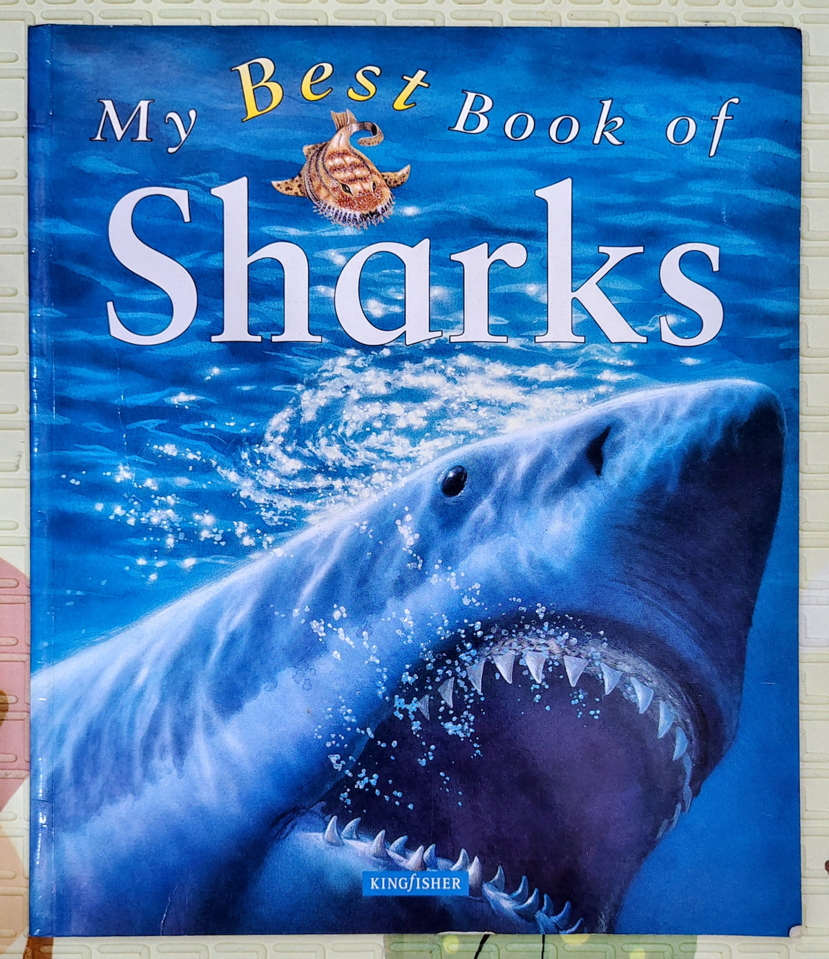 My Best Book of Sharks by Kingfisher