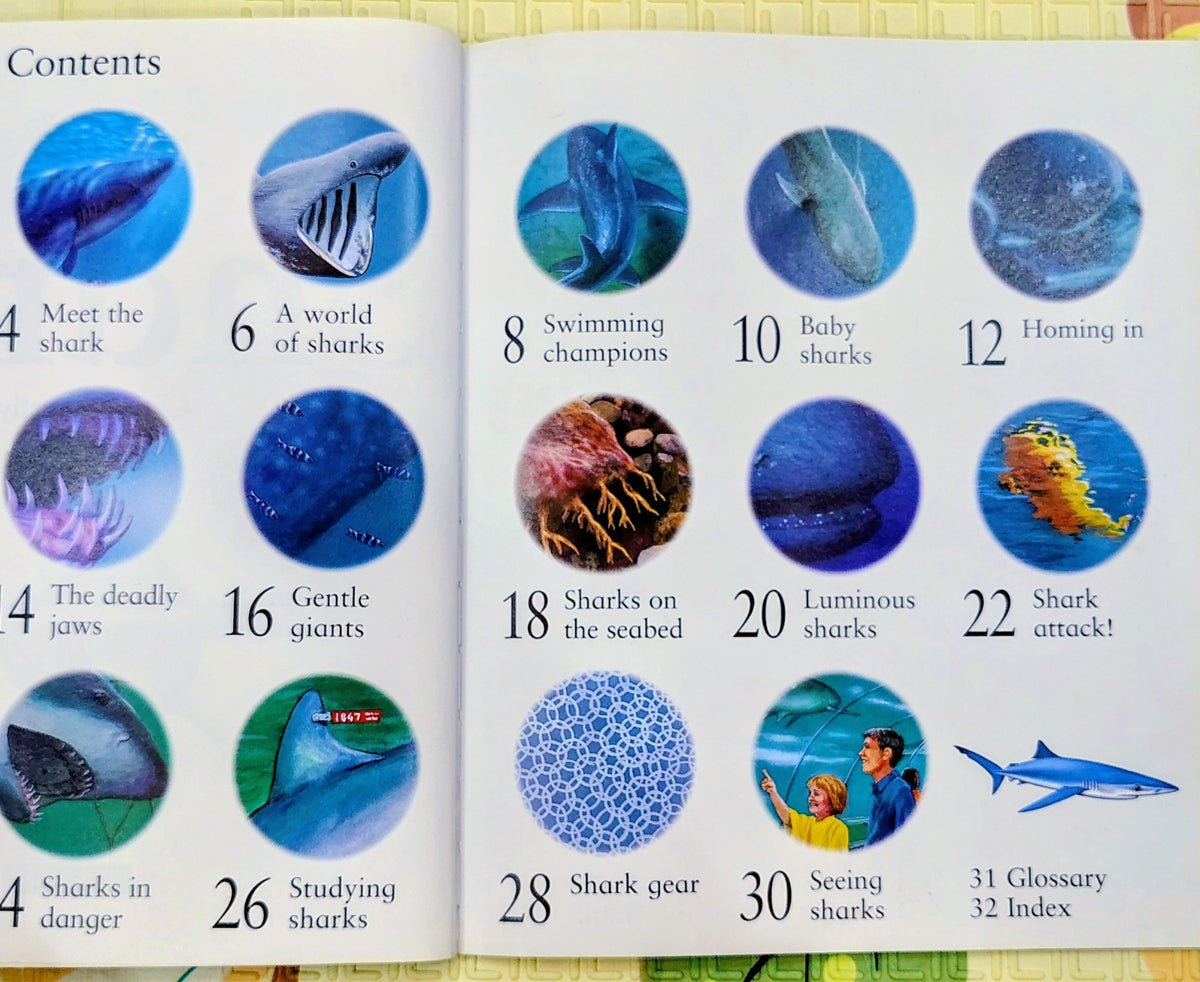 My Best Book of Sharks by Kingfisher