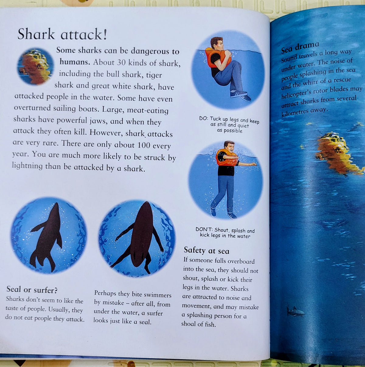 My Best Book of Sharks by Kingfisher