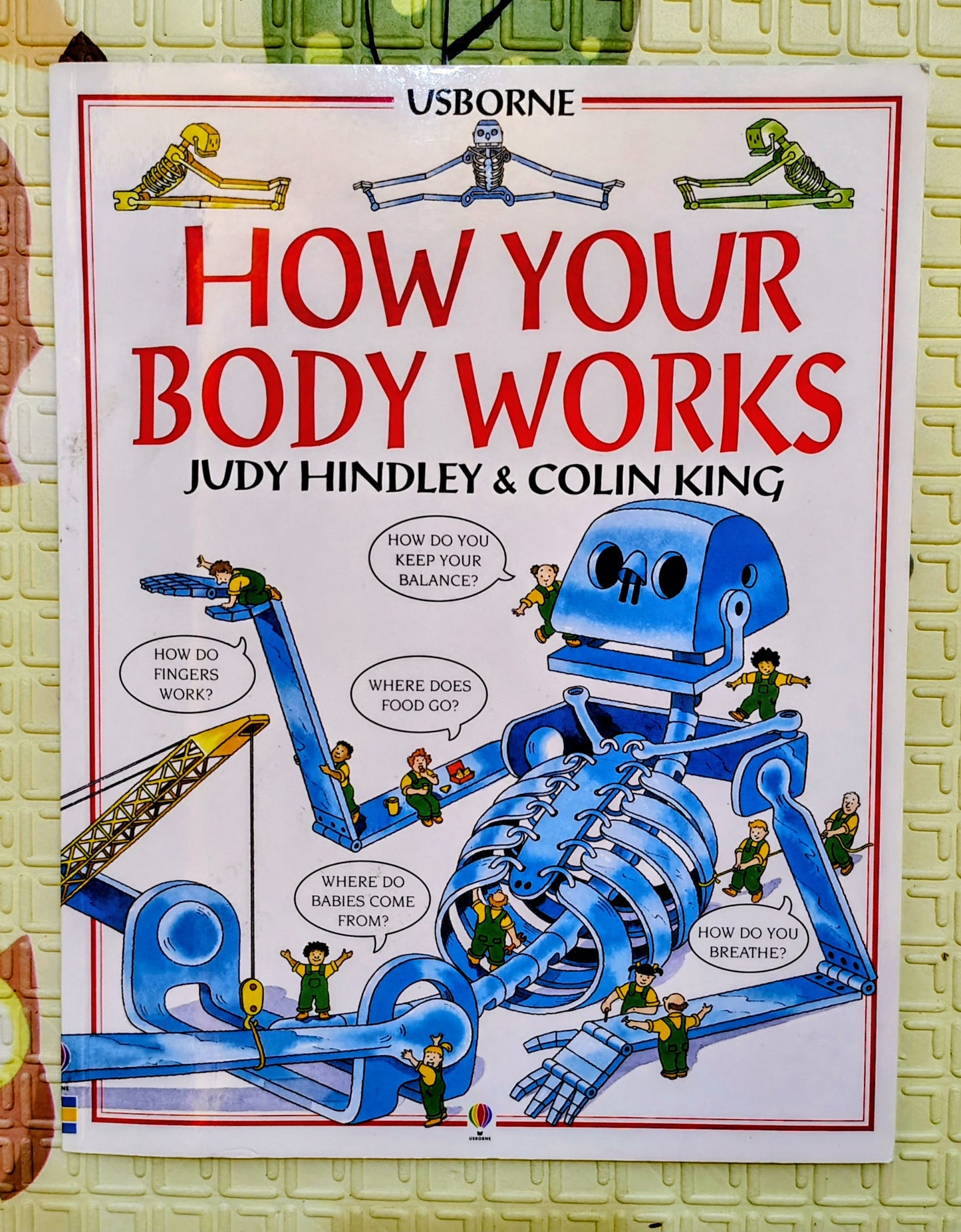 How Your Body Works – by Judy Hindley & Colin King
